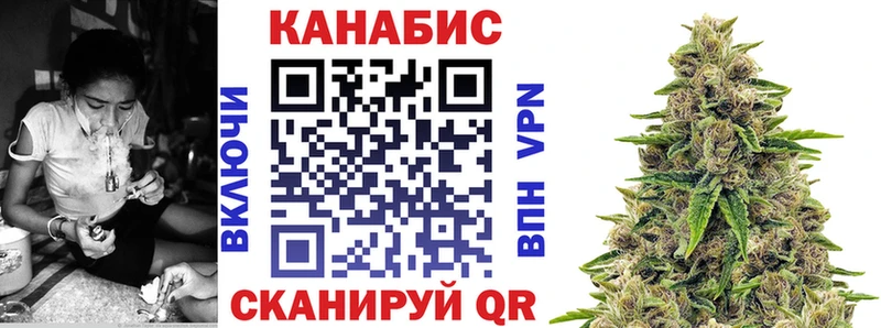 Марихуана White Widow  где найти наркотики  Наволоки 